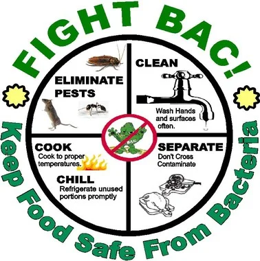 keep food safe from bacteria