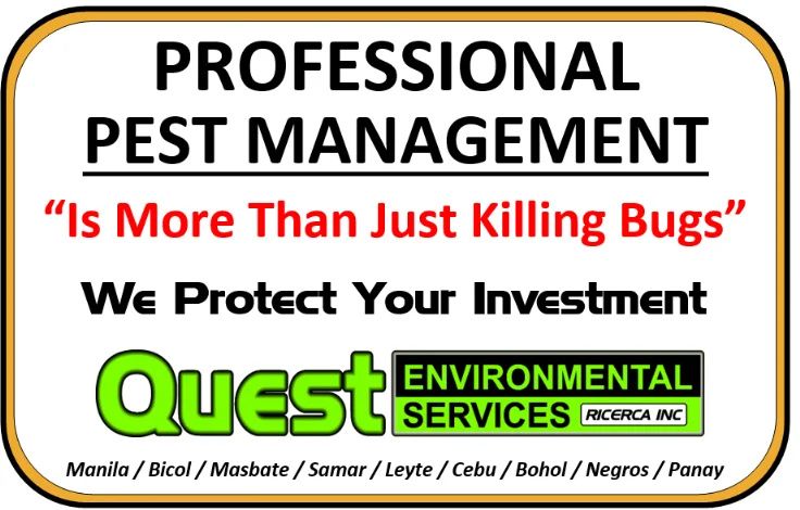 We Protect your investment